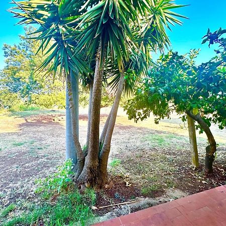 Feudo di Villa Anticaglia Briatico Esterno foto
