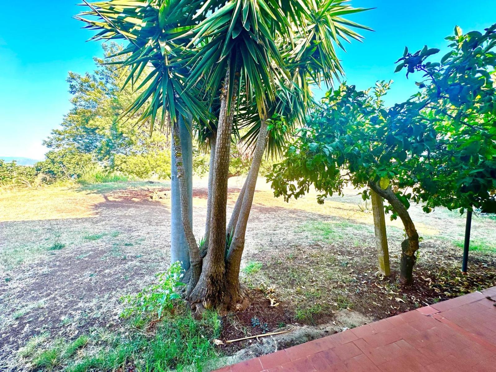 Feudo di Villa Anticaglia Briatico Esterno foto