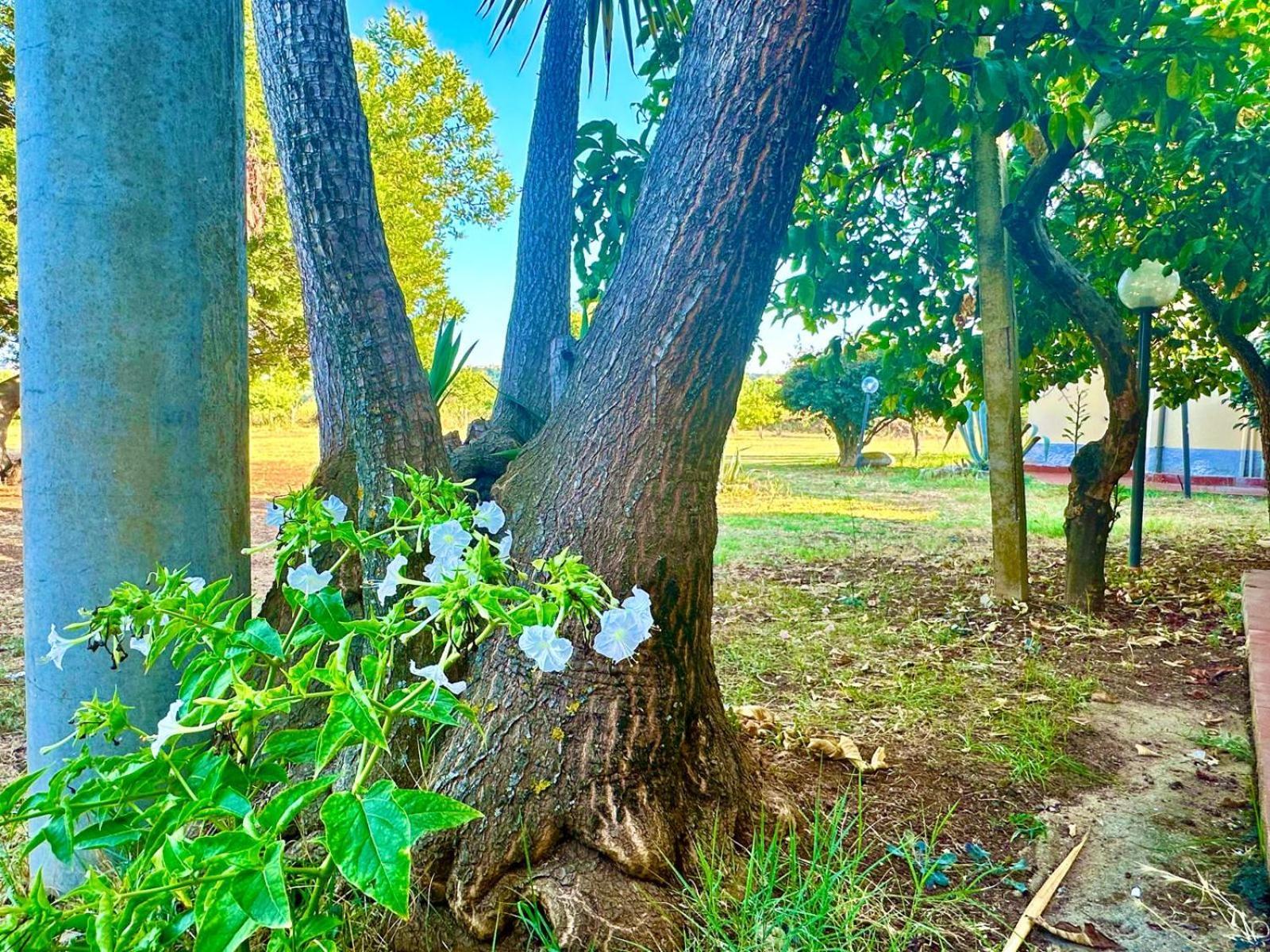 Feudo di Villa Anticaglia Briatico Esterno foto